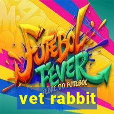 vet rabbit